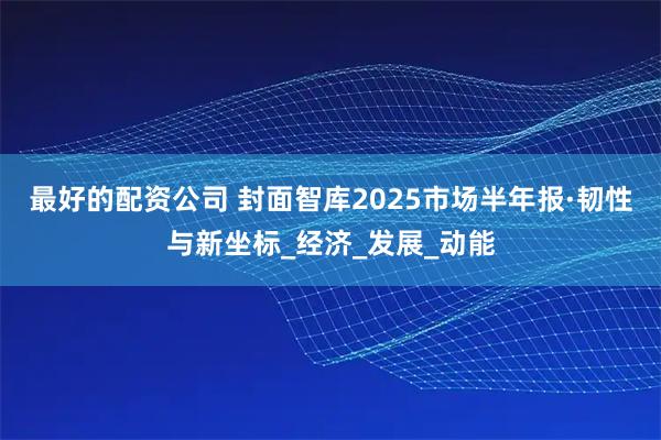 最好的配资公司 封面智库2025市场半年报·韧性与新坐标_经济_发展_动能